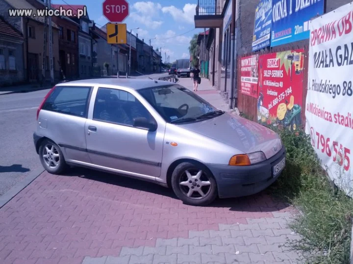 Mistrz parkowania