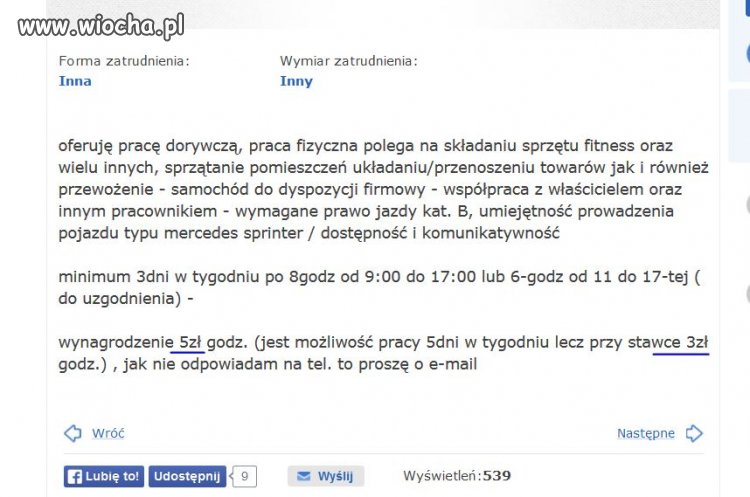 Szukam niewolnika