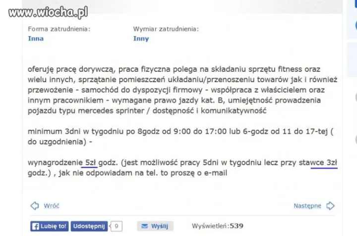 Szukam niewolnika