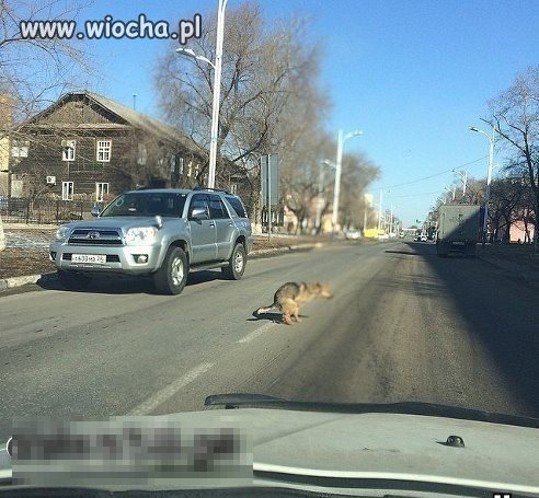 Jak mocno przyciśnie to nie ma bata.