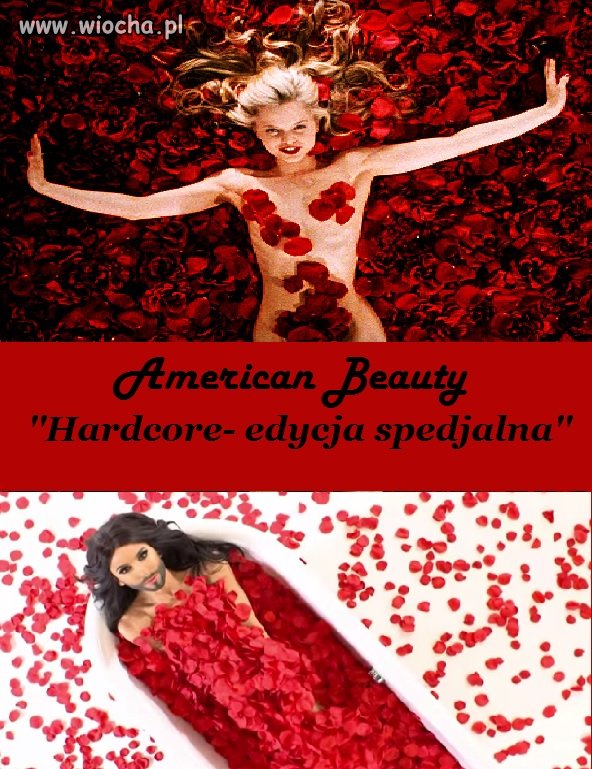 Nowa edycja American beuty! 