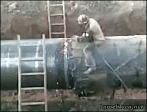 Mistrz intelektu