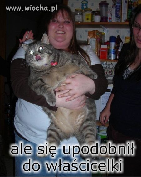 Jak tak można