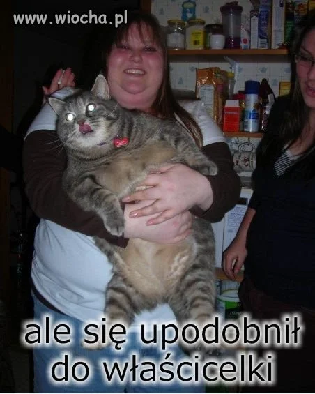 Jak tak można