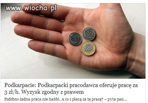 To się nazywa oferta pracy