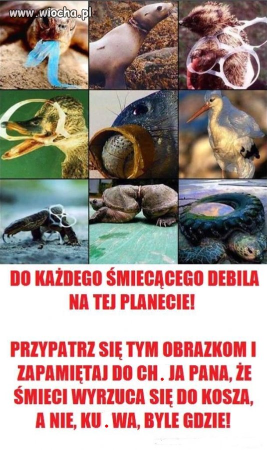 Twoje śmieci - ich problem..