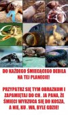 Twoje śmieci - ich problem..