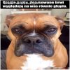 Wszystkiego naj... "plastiki"