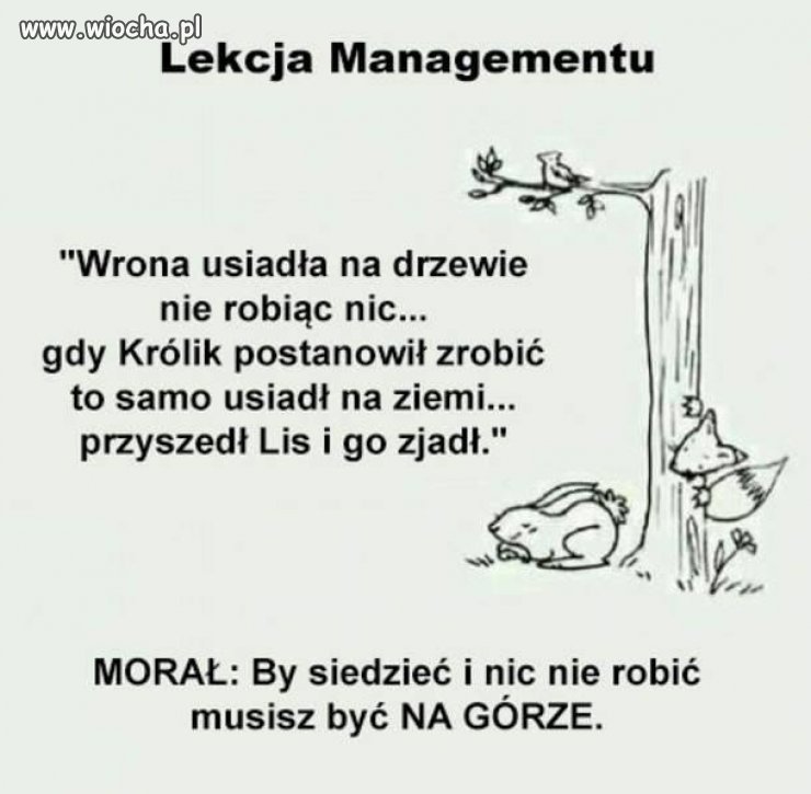 Politycy ten morał odkryli dawno