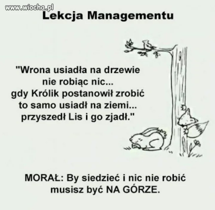 Politycy ten morał odkryli dawno