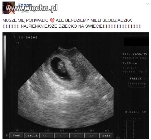 I złożyła jaja...