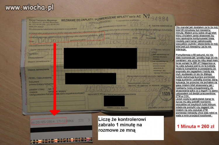 Kanary bez sumienia