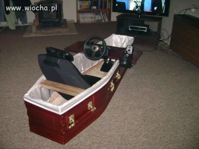 Zawsze czujny i gotowy
