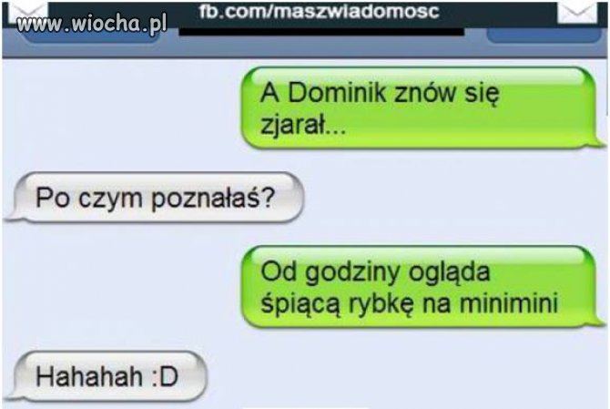 Dominik znów się zjarał