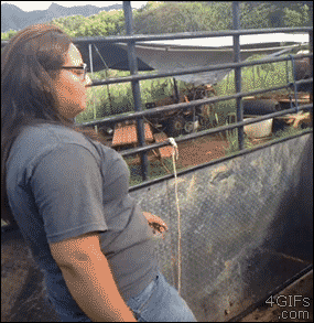 Partner do tańca 