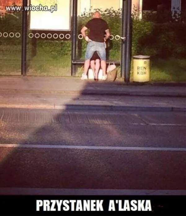 Przystanek A laska