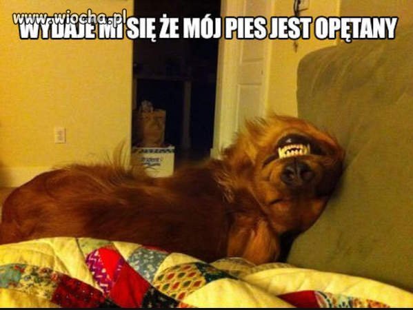 Coś w tym jest...