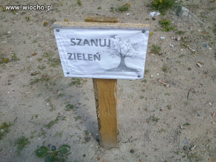A może by tak jeszcze posiać?