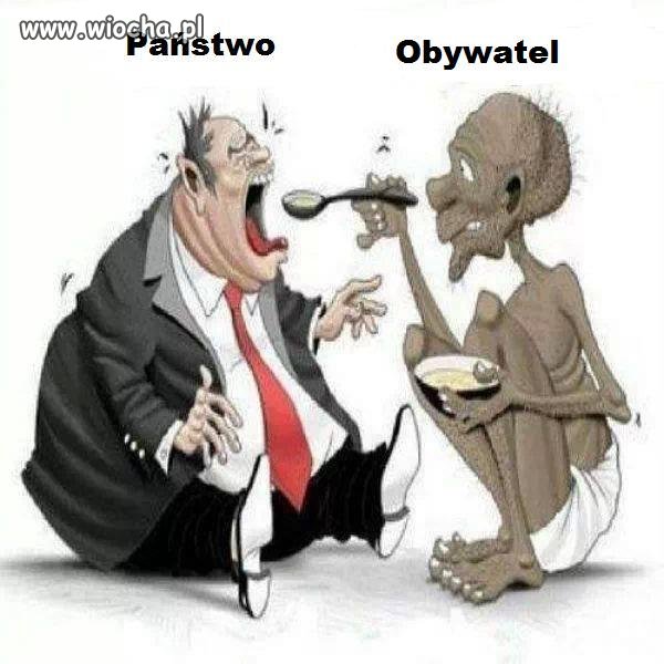 Współczesny chów trzody chlewnej 