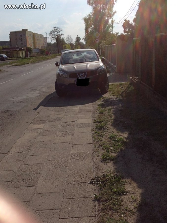 Mistrz parkowania