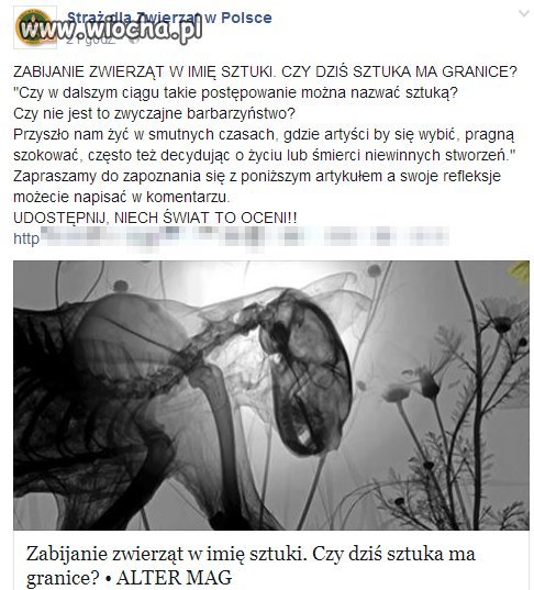 Zabijanie w imię sztuki..