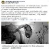 Zabijanie w imię sztuki..