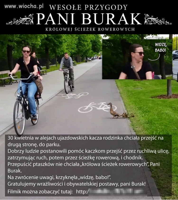 Królowa ścieżek rowerowych