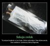 Jednak służba zdrowia jest