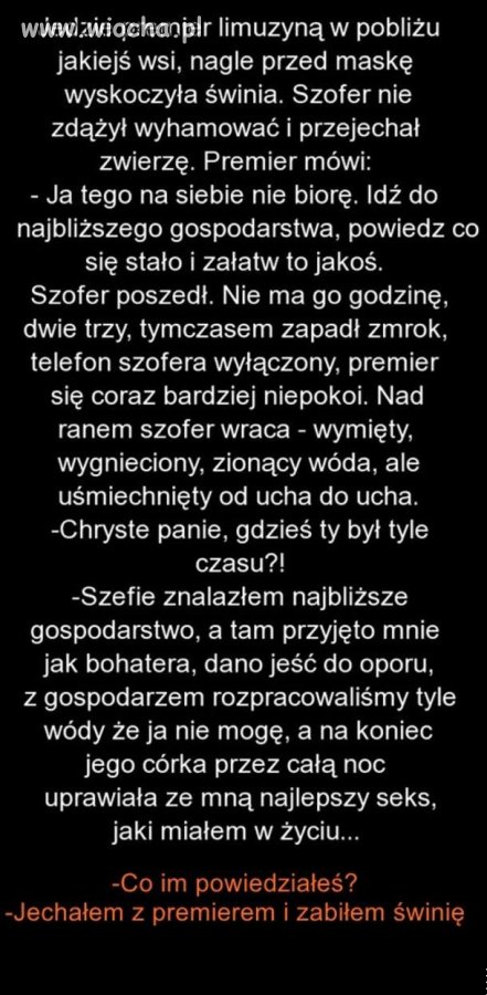 O premierze i świni