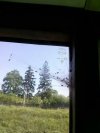 Szybka w autobusie i ...
