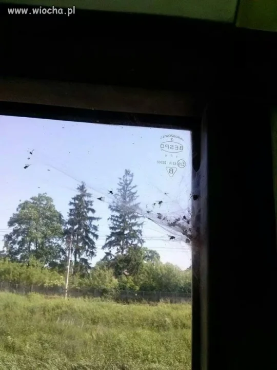 Szybka w autobusie i ...