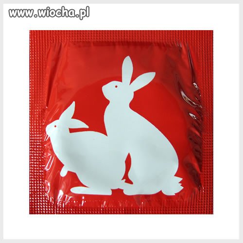 28 maja - Dzień bez prezerwatywy