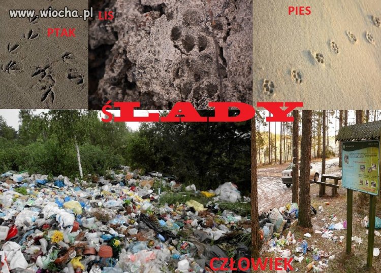 Przyroda vs Mieszkańcy ziemi