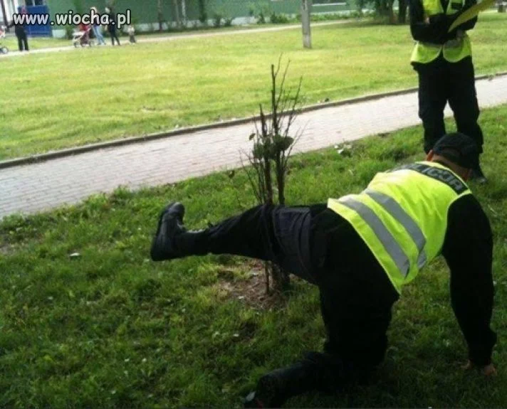 Spacer z psem.