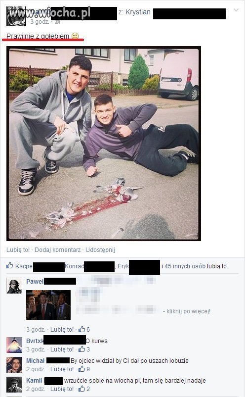 Nie mam pytań co się dzieje z tą młodzieżą 