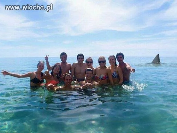 Ostatnie zdjęcie wszystkich znajomych