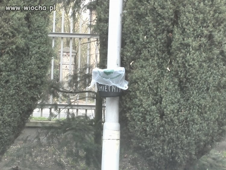 Śmietniki przy jednej z przychodni w Gnieźnie