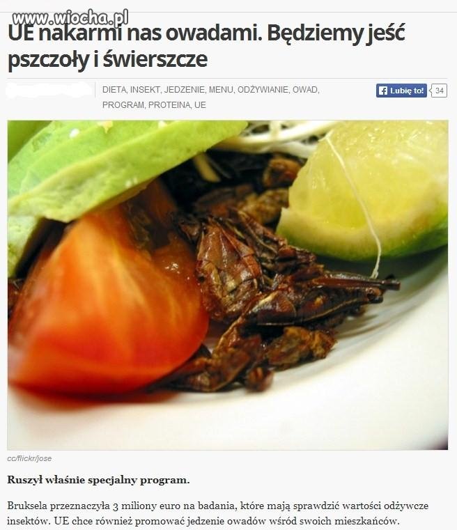 Co dalej? Nauczą nas jeść gruz?