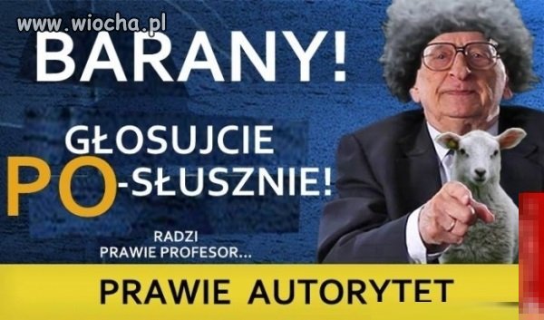Bydło głosować!!!