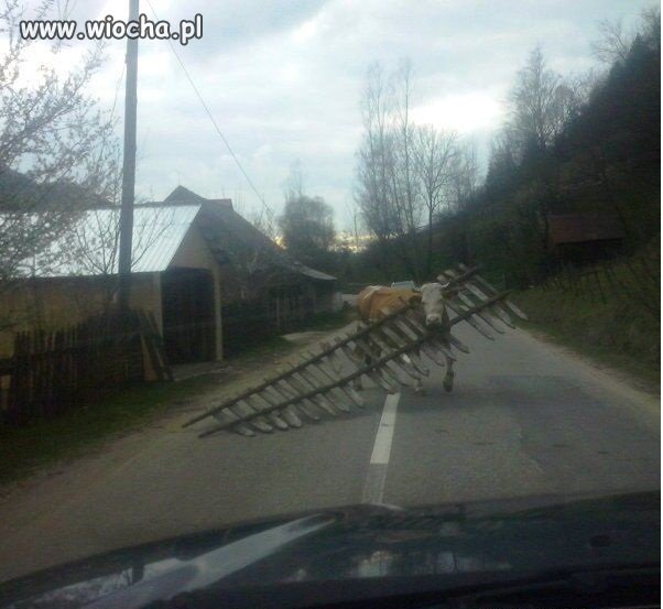 Jak wiocha, to wiocha