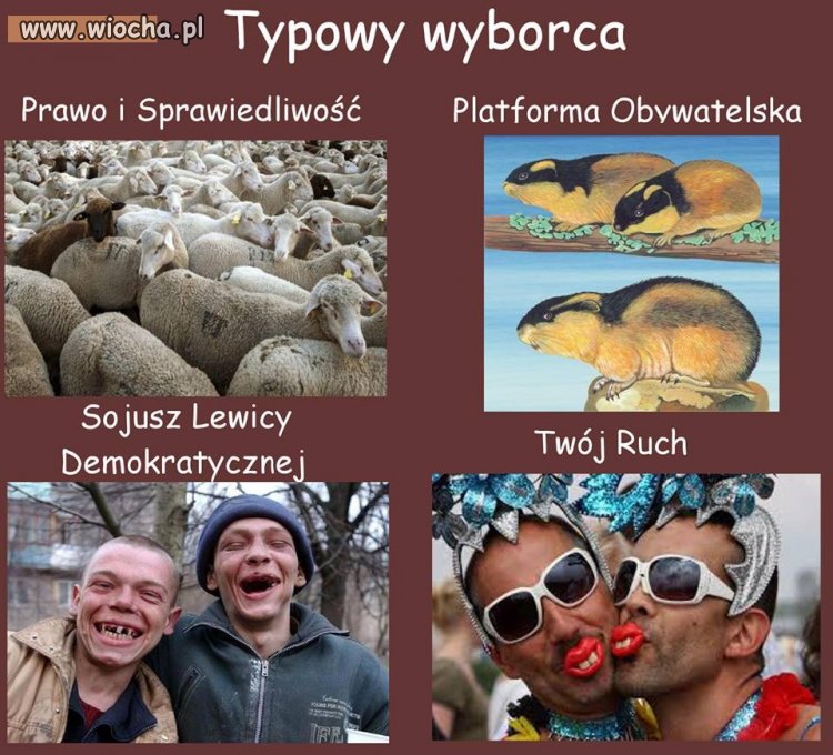 Typowy Wyborca w Polsce.
