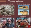 Typowy Wyborca w Polsce.