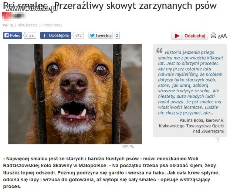 Jak dla mnie to podchodzi pod znęcanie