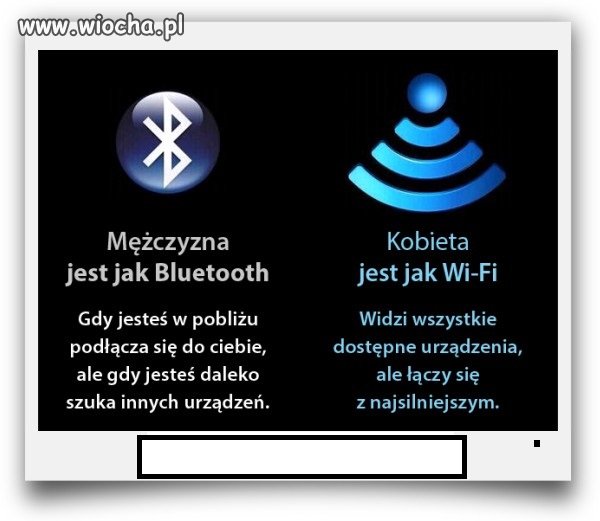 Coś w tym jest