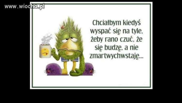 Właśnie