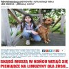 No właśnie 