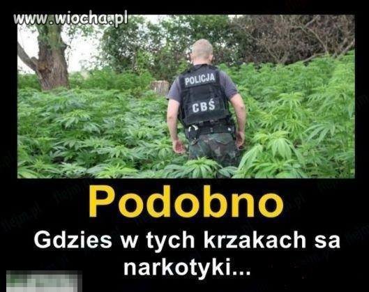 Ja ich nie widzę...