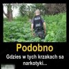 Ja ich nie widzę...