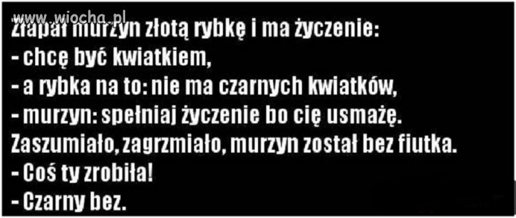 Czarny bez