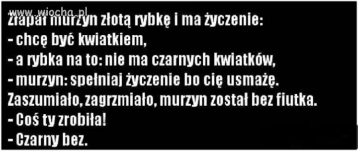 Czarny bez